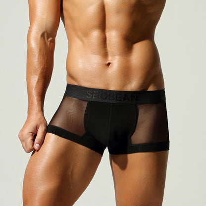 Obsidian Veil Semi-Sheer Men Trunk mooods