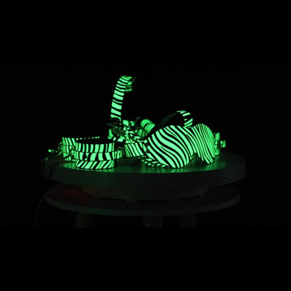 Fluorescent Zebra Bondage Set