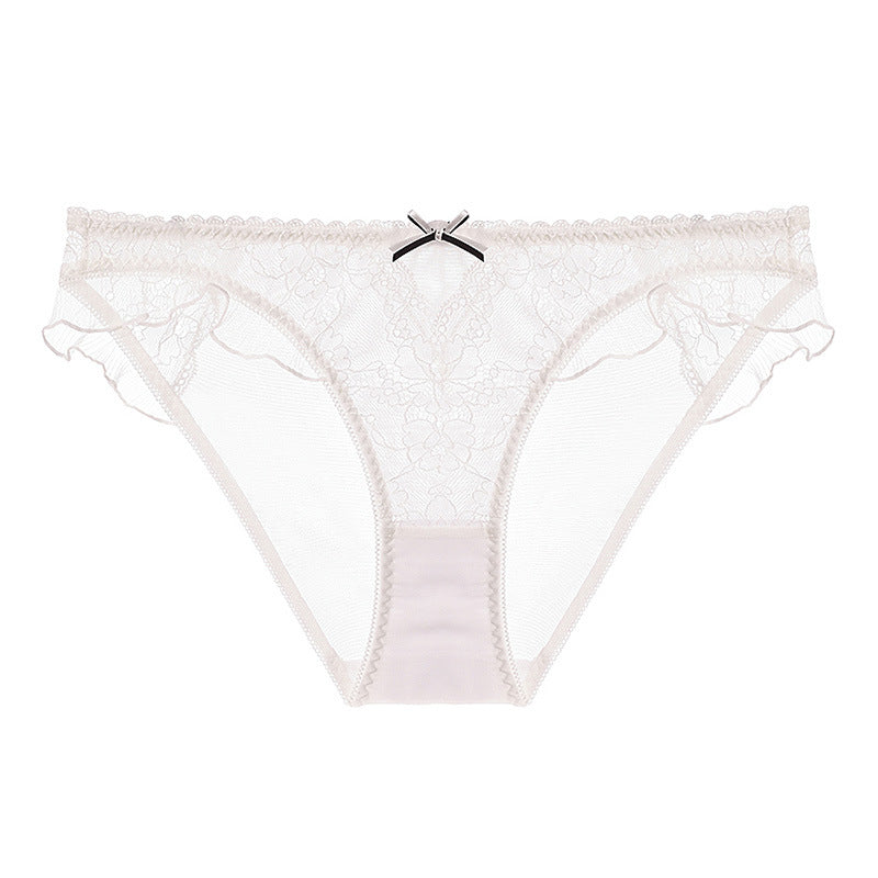 Lace Enchantment: Sheer Mesh & French Lace Panty