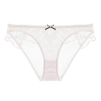 Lace Enchantment: Sheer Mesh & French Lace Panty