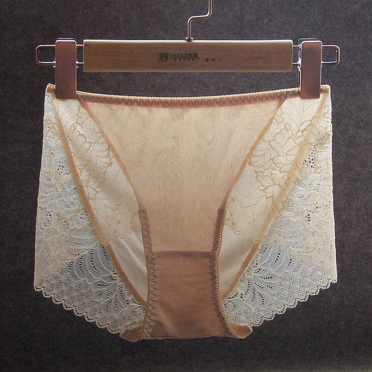 Lace Silhouette: Silk Brief Panty with Lace Trim