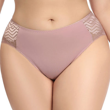 Silhouette Enhancer Plus Lace Nylon Panties mooods