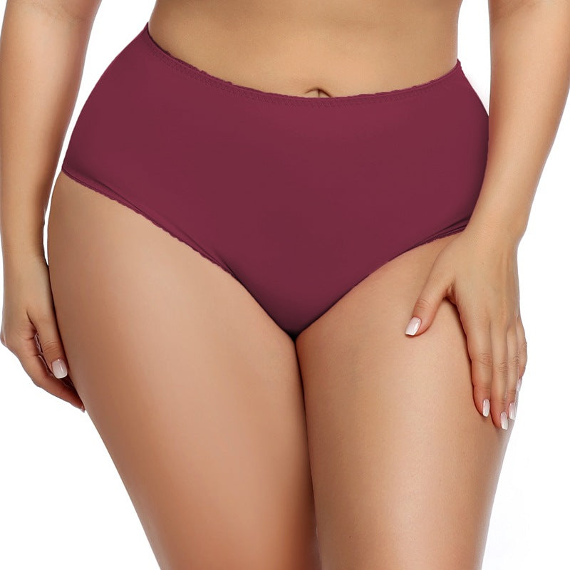 ComfyCurve Plus-Size Nylon Panties mooods